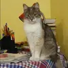 Отзыв от Алла Анисимова